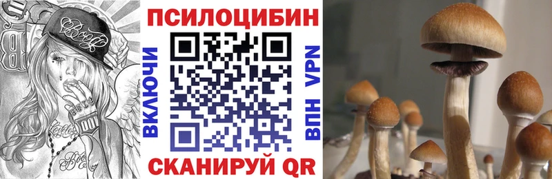 Купить закладки  Кувшиново  Псилоцибиновые грибы мицелий 